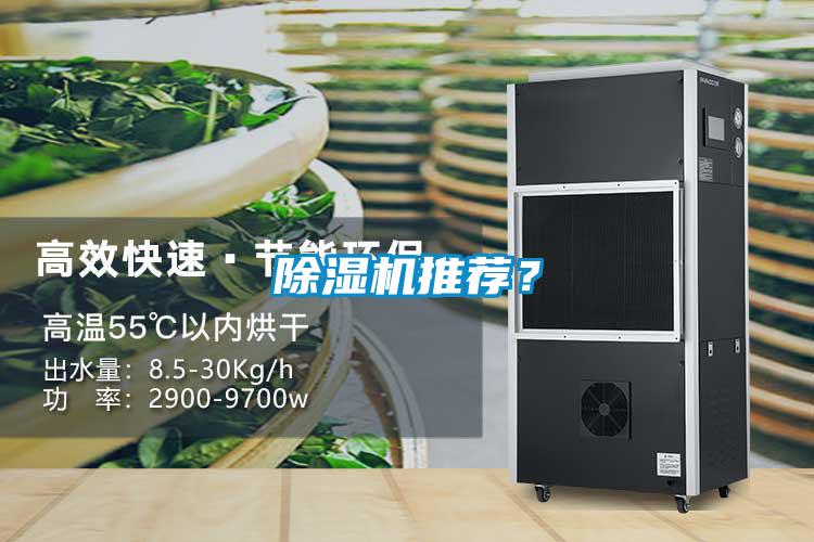 除濕機推薦？