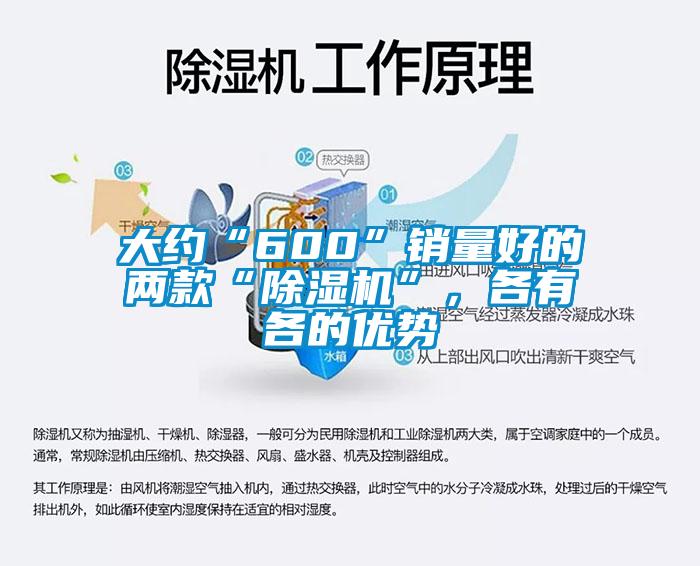 大約“600”銷量好的兩款“除濕機”，各有各的優(yōu)勢