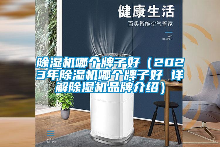 除濕機(jī)哪個(gè)牌子好(2023年除濕機(jī)哪個(gè)牌子好 詳解除濕機(jī)品牌介紹)