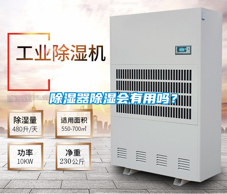 除濕器除濕會有用嗎?