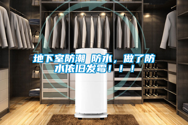 地下室防潮≠防水,做了防水依舊發霉!!!