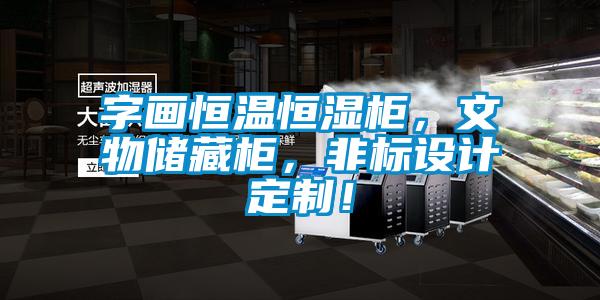 字畫恒溫恒濕柜，文物儲藏柜，非標設計定制！