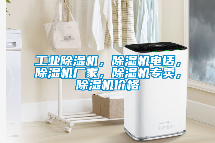 工業除濕機，除濕機電話，除濕機廠家，除濕機專賣，除濕機價格