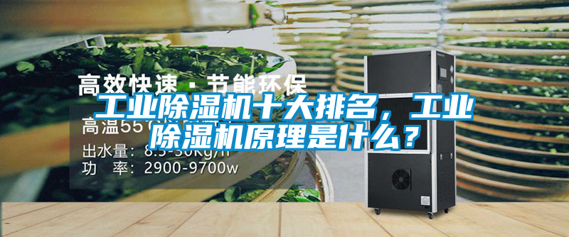 工業(yè)除濕機(jī)十大排名,工業(yè)除濕機(jī)原理是什么?