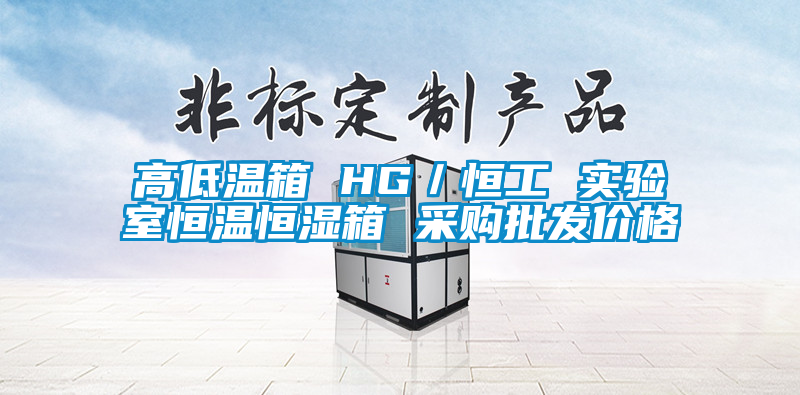 高低溫箱 HG/恒工 實(shí)驗(yàn)室恒溫恒濕箱 采購批發(fā)價格