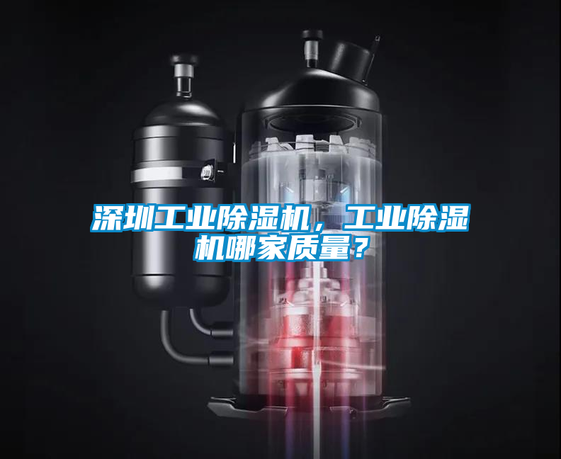 深圳工業(yè)除濕機(jī),工業(yè)除濕機(jī)哪家質(zhì)量?