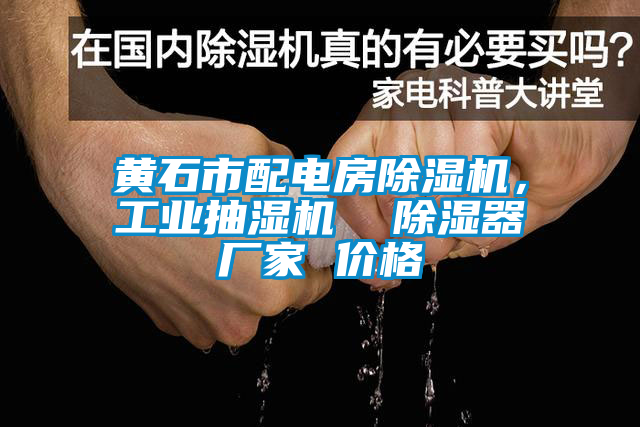黃石市配電房除濕機,工業抽濕機 除濕器廠家 價格
