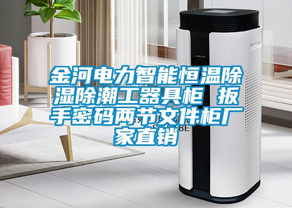 金河電力智能恒溫除濕除潮工器具柜 扳手密碼兩節(jié)文件柜廠(chǎng)家直銷(xiāo)
