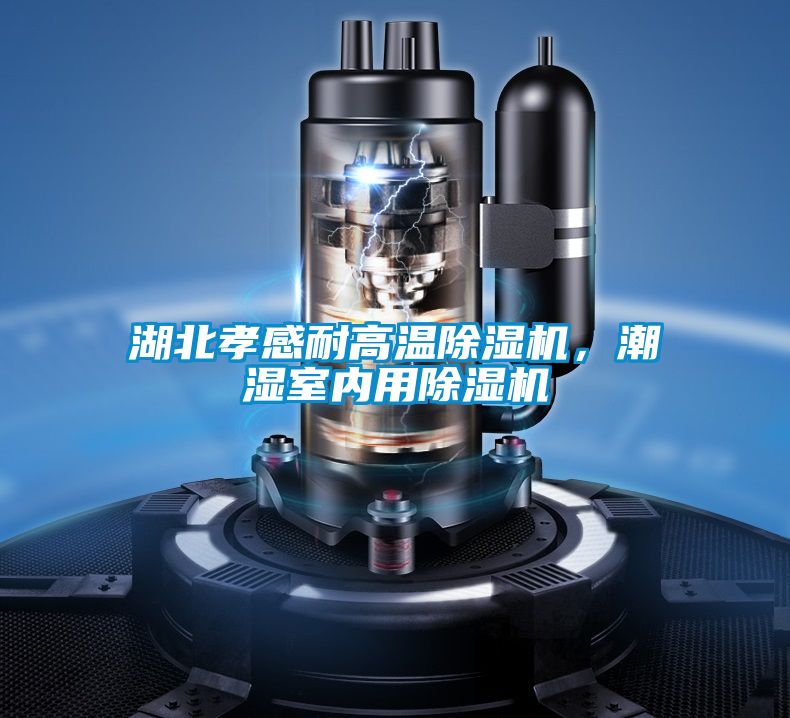 湖北孝感耐高溫除濕機(jī),潮濕室內(nèi)用除濕機(jī)
