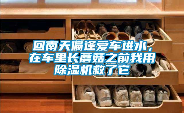 回南天偏逢愛車進(jìn)水，在車?yán)镩L蘑菇之前我用除濕機(jī)救了它
