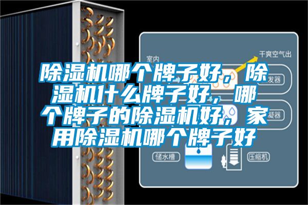 除濕機(jī)哪個(gè)牌子好,除濕機(jī)什么牌子好,哪個(gè)牌子的除濕機(jī)好,家用除濕機(jī)哪個(gè)牌子好