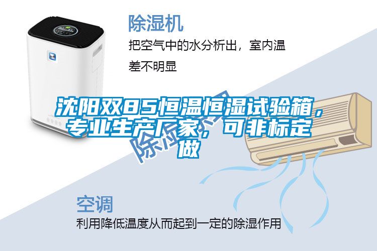 沈陽雙85恒溫恒濕試驗箱,專業生產廠家,可非標定做