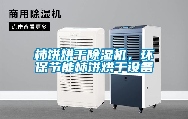 柿餅烘干除濕機，環保節能柿餅烘干設備