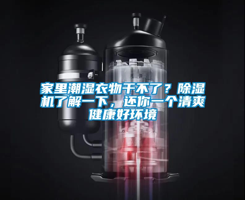 家里潮濕衣物干不了？除濕機了解一下，還你一個清爽健康好環境
