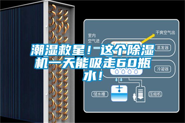 潮濕救星！這個除濕機一天能吸走60瓶水！