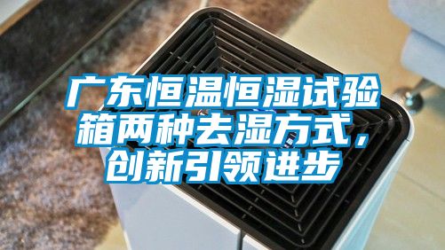 廣東恒溫恒濕試驗箱兩種去濕方式,創(chuàng)新引領進步