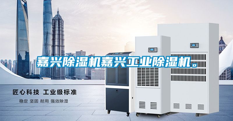 嘉興除濕機嘉興工業除濕機。