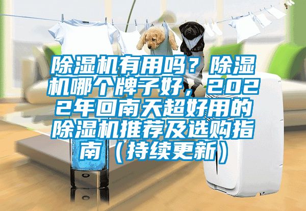 除濕機有用嗎？除濕機哪個牌子好，2022年回南天超好用的除濕機推薦及選購指南（持續更新）