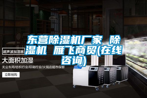 東營(yíng)除濕機(jī)廠家 除濕機(jī) 雁飛商貿(mào)(在線咨詢(xún))