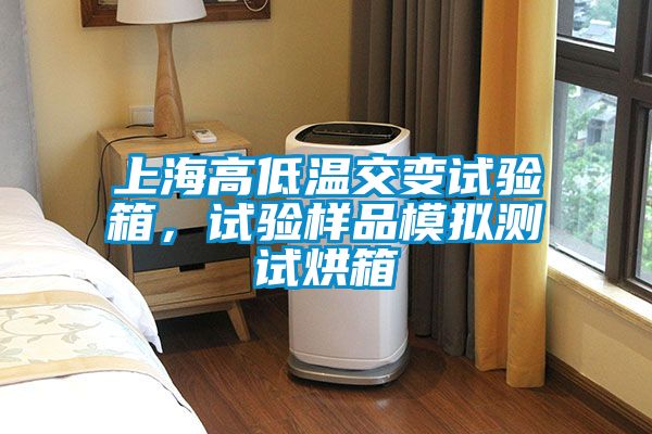上海高低溫交變試驗箱，試驗樣品模擬測試烘箱