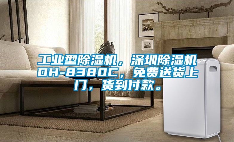 工業(yè)型除濕機，深圳除濕機DH-8380C，免費送貨上門，貨到付款。