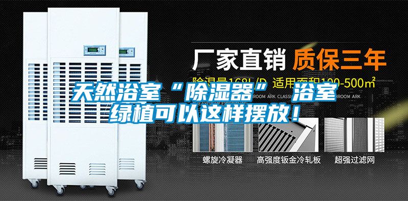 天然浴室“除濕器” 浴室綠植可以這樣擺放!