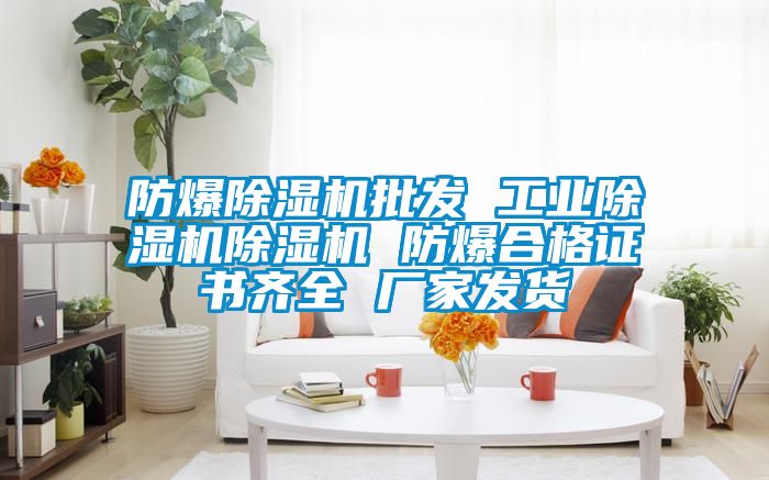 防爆除濕機(jī)批發(fā) 工業(yè)除濕機(jī)除濕機(jī) 防爆合格證書(shū)齊全 廠家發(fā)貨