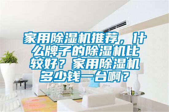 家用除濕機(jī)推薦,什么牌子的除濕機(jī)比較好?家用除濕機(jī)多少錢一臺啊?