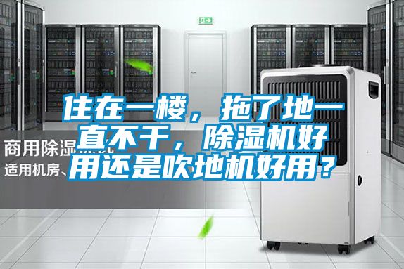 住在一樓，拖了地一直不干，除濕機(jī)好用還是吹地機(jī)好用？