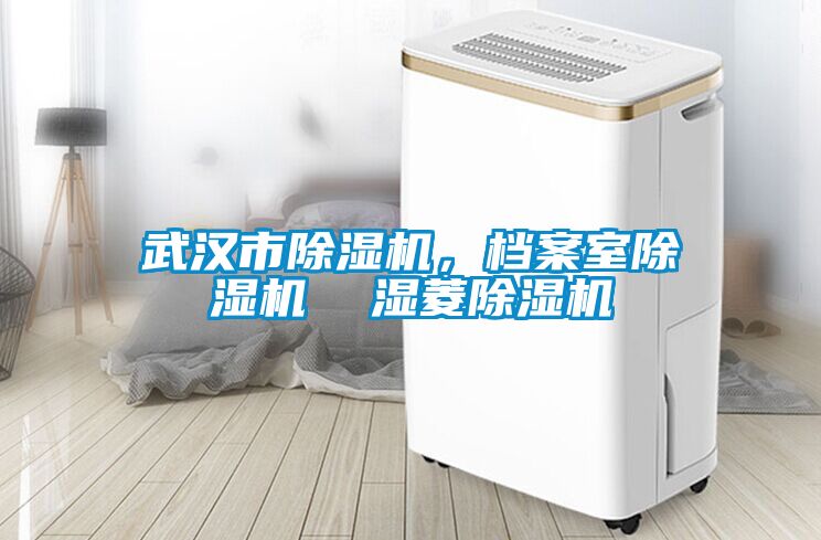 武漢市除濕機(jī)，檔案室除濕機(jī)  濕菱除濕機(jī)