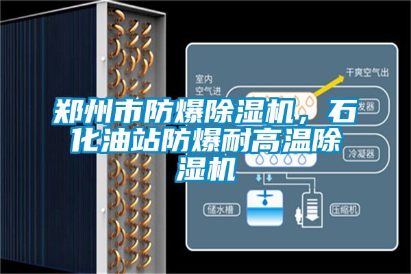 鄭州市防爆除濕機，石化油站防爆耐高溫除濕機