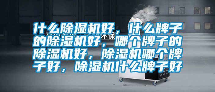 什么除濕機好，什么牌子的除濕機好，哪個牌子的除濕機好，除濕機哪個牌子好，除濕機什么牌子好